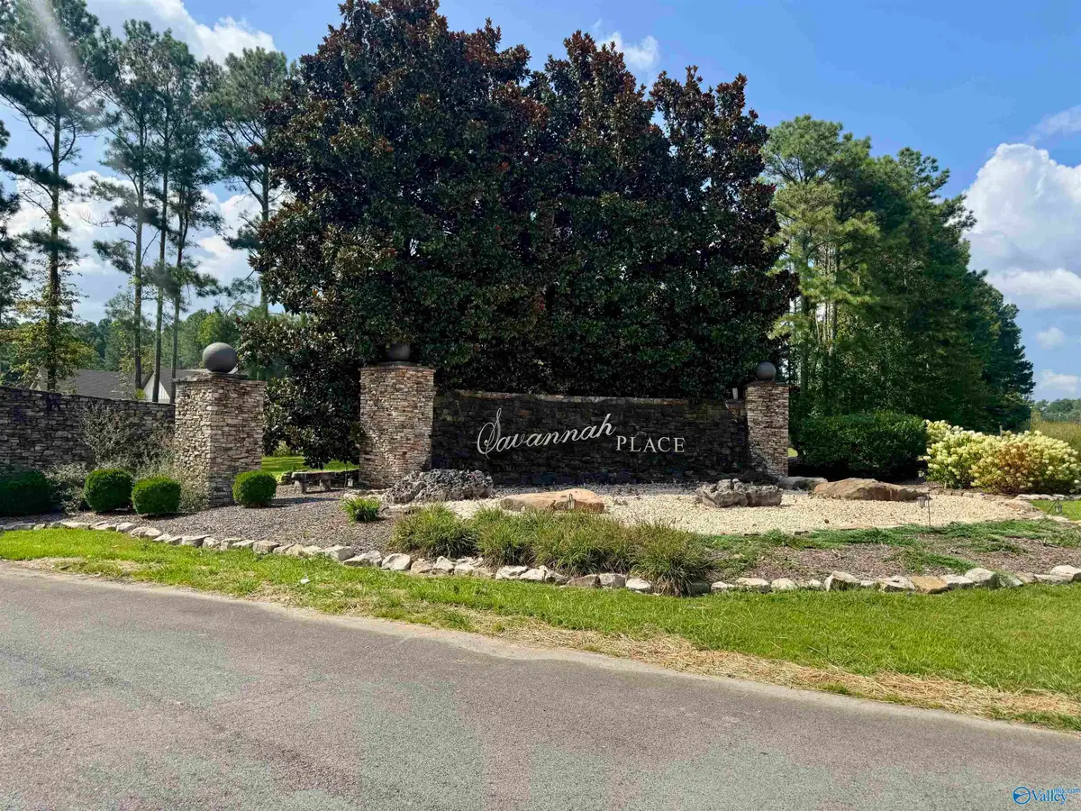 381 Worthington Lane, Guntersville, AL 35976 - Image #1