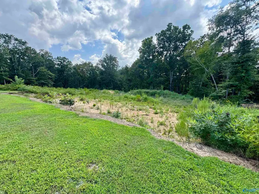 381 Worthington Lane, Guntersville, AL 35976 - Image #3