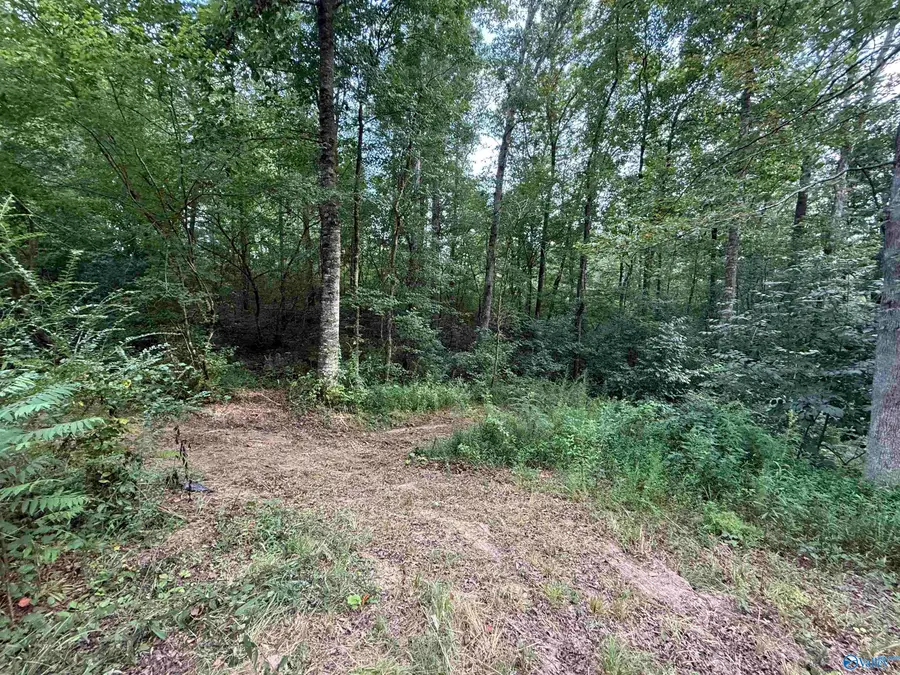 0.66 AC County Road 1606, Cullman, AL 35058 - Image #3