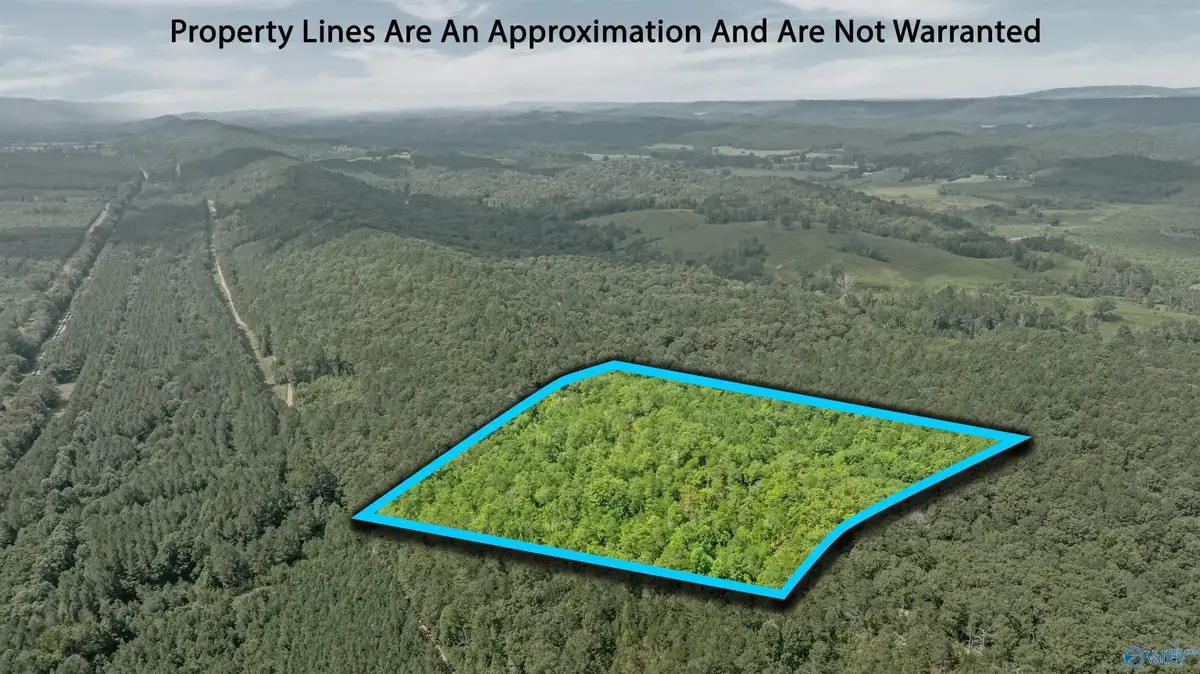 15 County Road 759, Valley Head, AL 35989 - Image #1