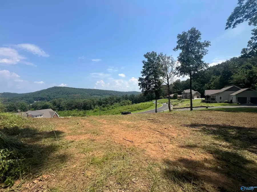 3028 Woodvue Road S, Guntersville, AL 35976 - Image #2