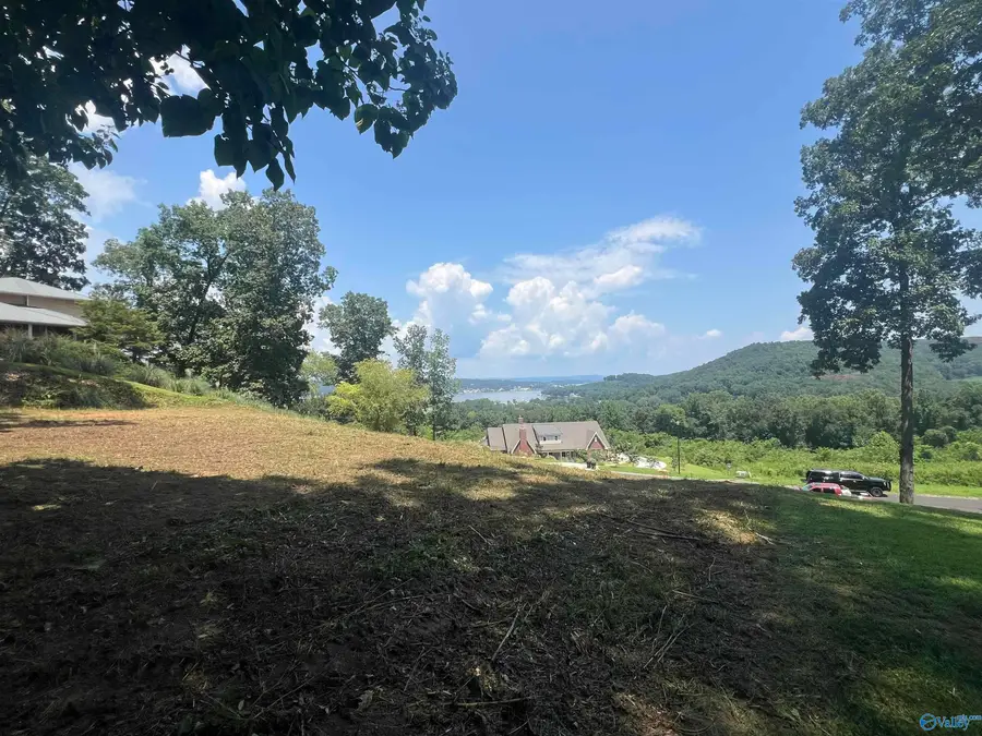 3028 Woodvue Road S, Guntersville, AL 35976 - Image #3