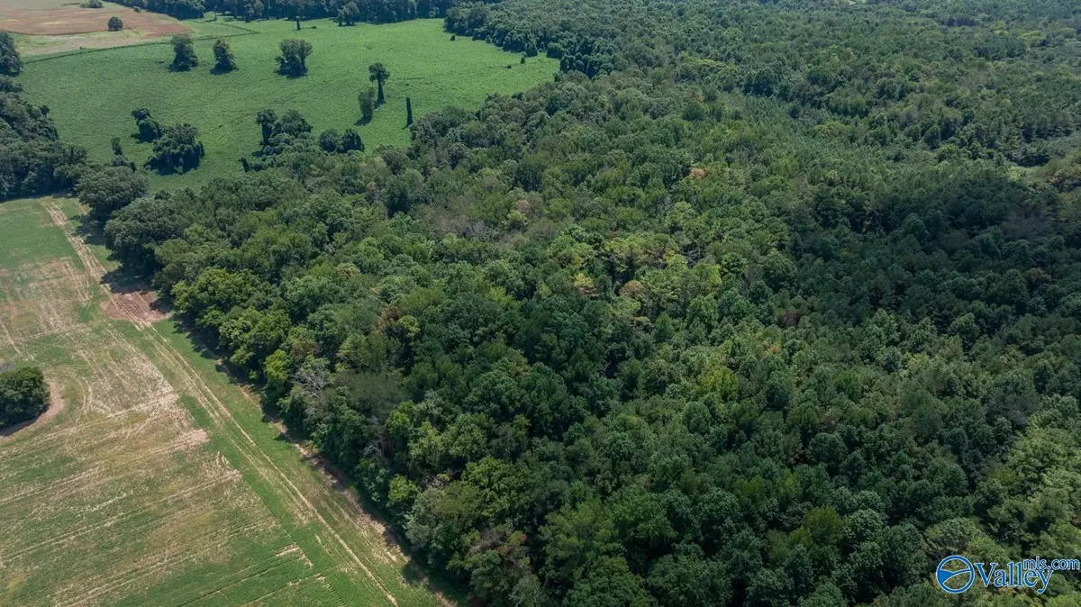 4 Acres Carters Gin Road, Toney, AL 35773 - Image #1