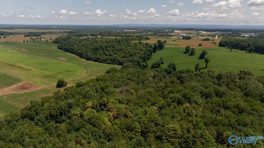 4 Acres Carters Gin Road, Toney, AL 35773 - Image #2