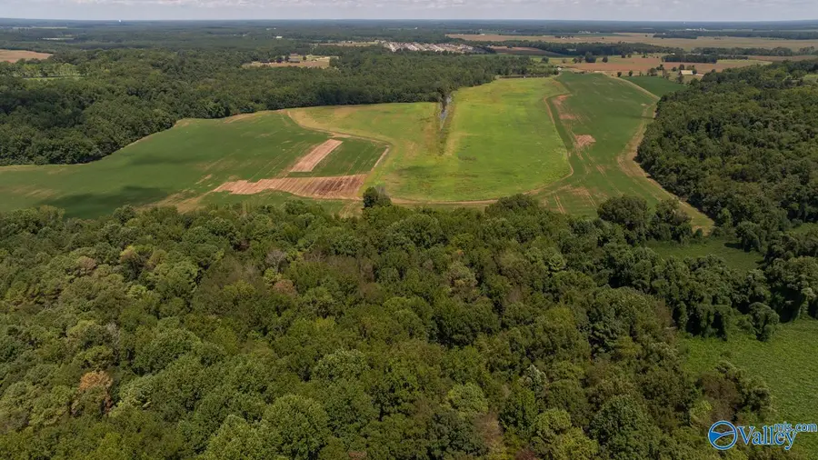 4 Acres Carters Gin Road, Toney, AL 35773 - Image #3