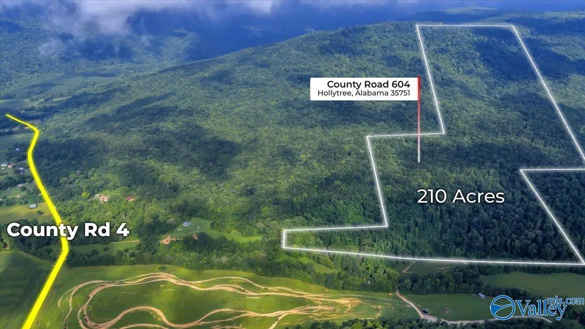 210 Acres County Road 604, Hollytree, AL 35751 - Image #1