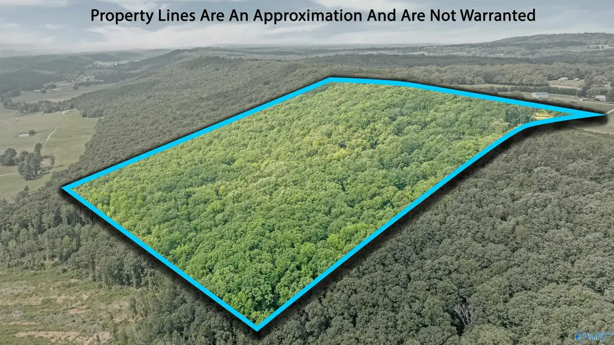 14698 Alabama Highway 117, Henagar, AL 35971 - Image #1