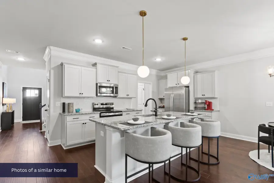 206 Roman Randall Road, New Market, AL 35761 - Image #3