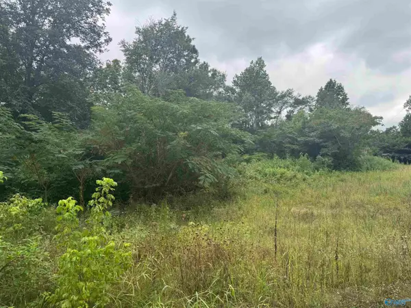 Lot 9 Welcome Home Church Road, Horton, AL 35980