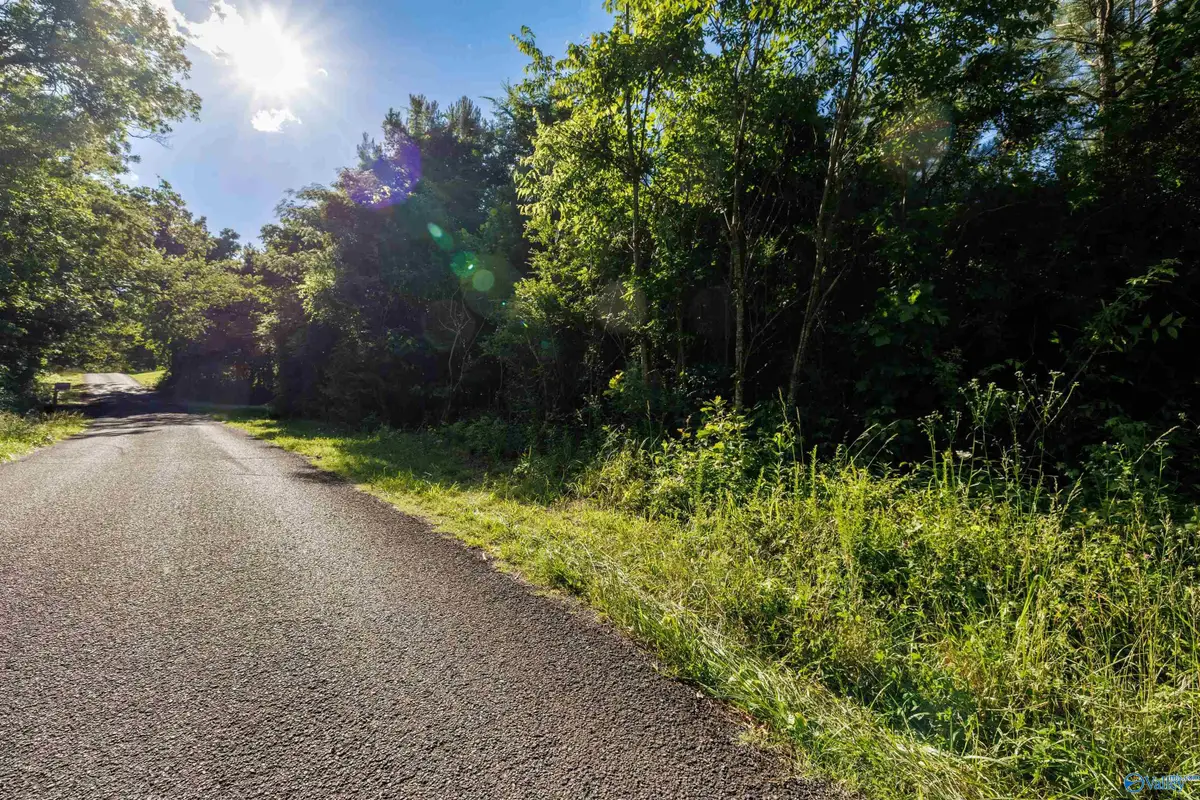 4 Acres Wills Creek Road, Fort Payne, AL 35968 - Image #1