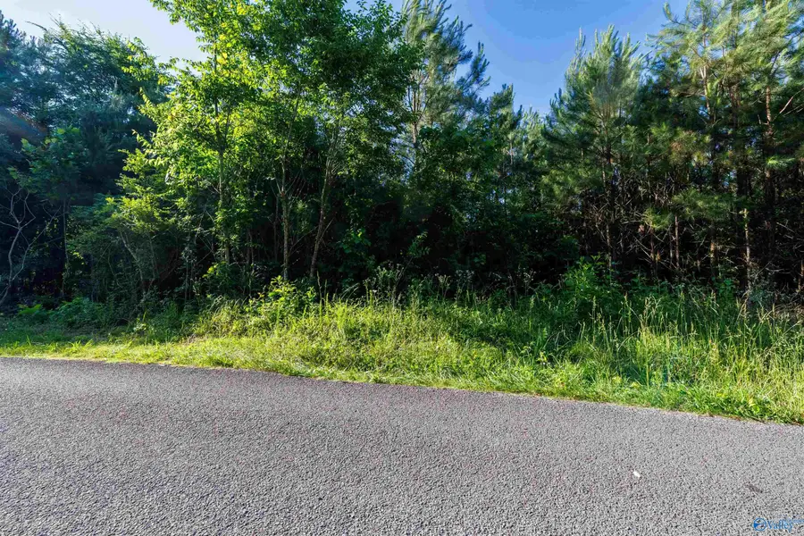 4 Acres Wills Creek Road, Fort Payne, AL 35968 - Image #2