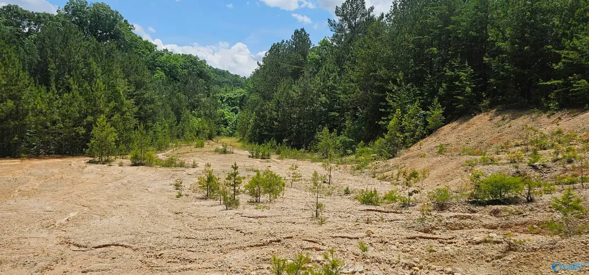 3.3+/- Acres--0 County Road 27, Fort Payne, AL 35968 - Image #1