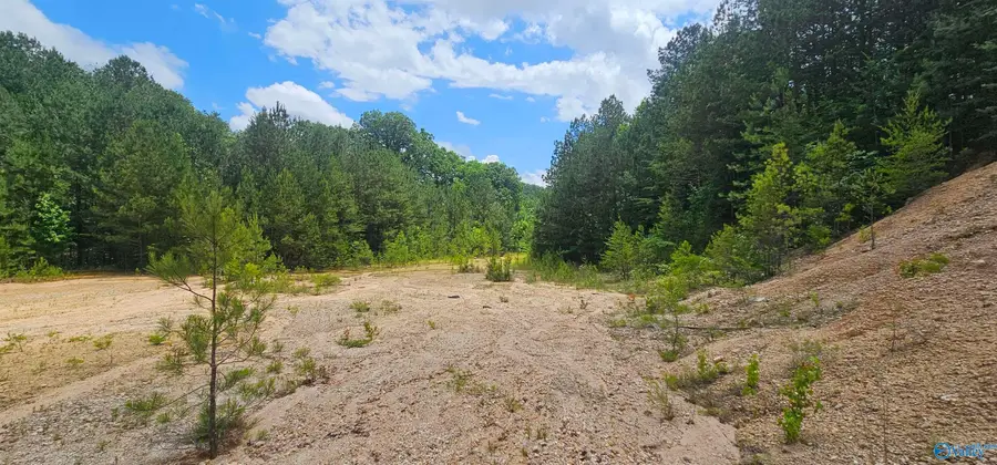 3.3+/- Acres--0 County Road 27, Fort Payne, AL 35968 - Image #2