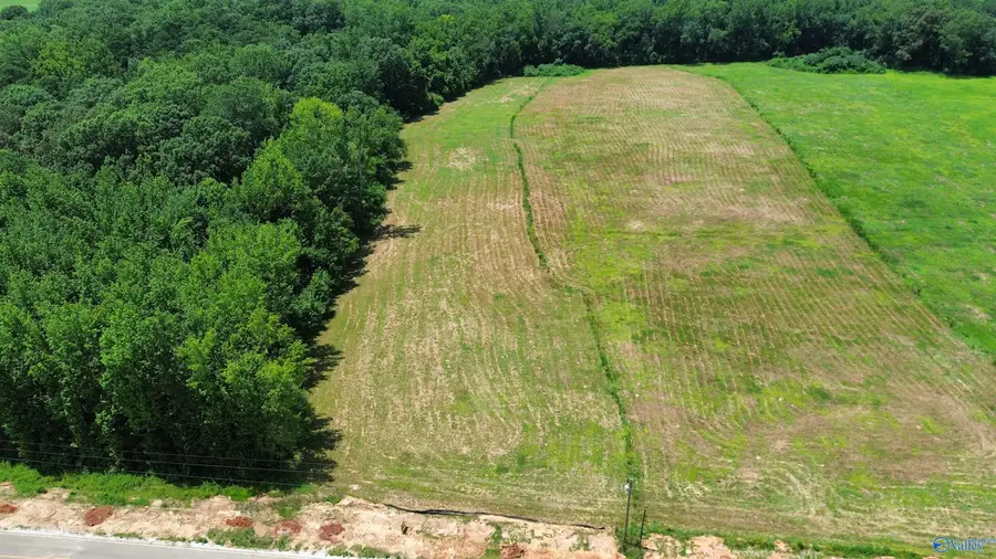 Tract 1 Hays Mill Road, Elkmont, AL 35620 - Image #2