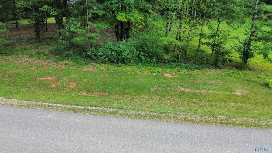 Tract 2 Hawkins Drive, Athens, AL 35611 - Image #3