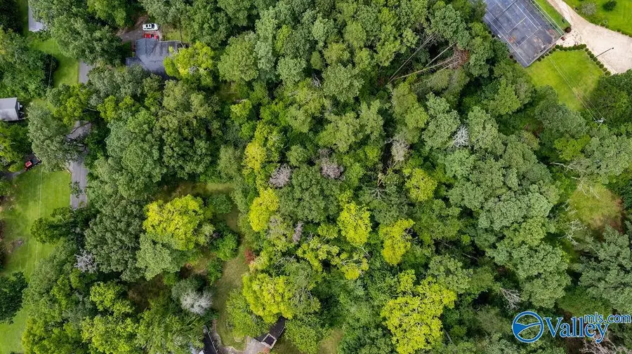 2.84+/- Brindley Street, Gadsden, AL 35904 - Image #3