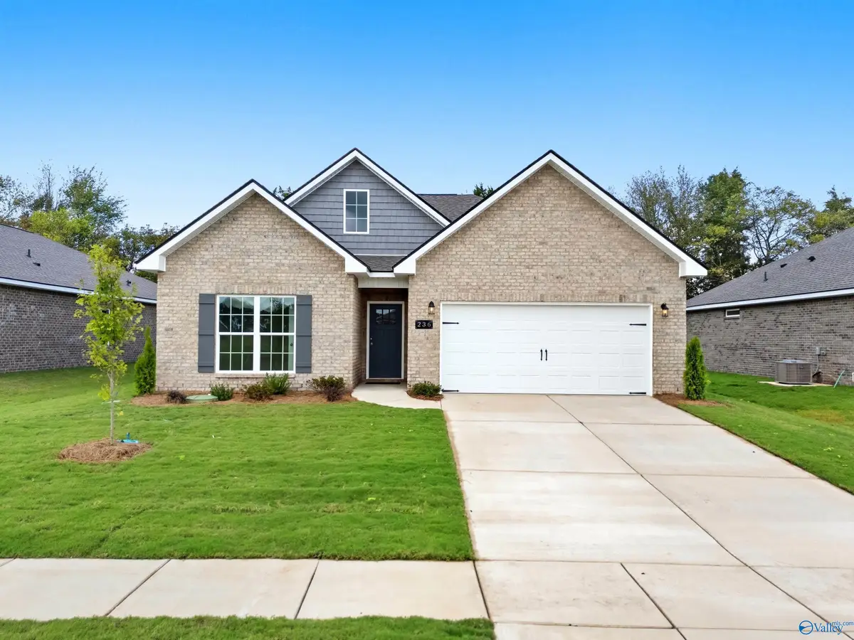 236 Jerrie Lynn Boulevard, Meridianville, AL 35759 - Image #1