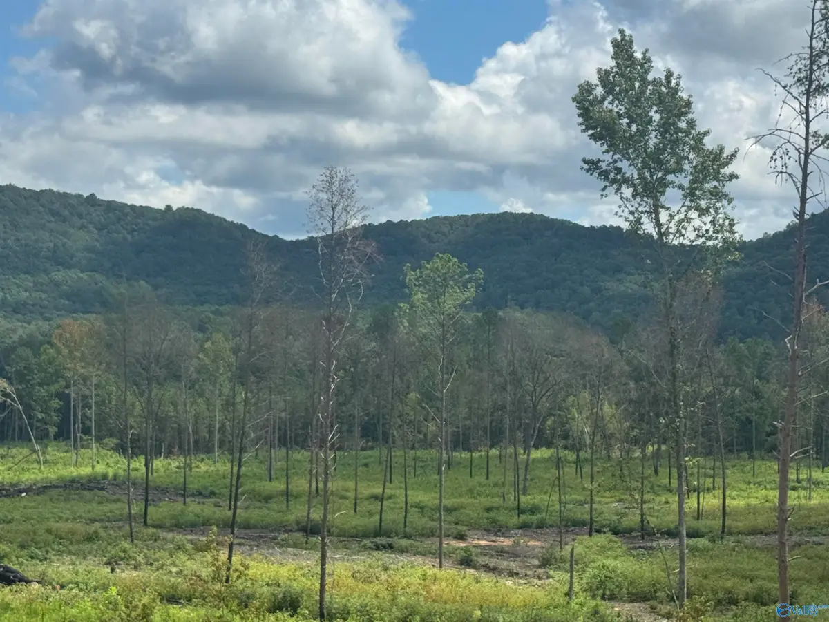 Lot 15 County Road 794, Gaylesville, AL 35973 - Image #1