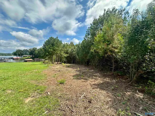 Lot 4 County Road 520, Centre, AL 35960