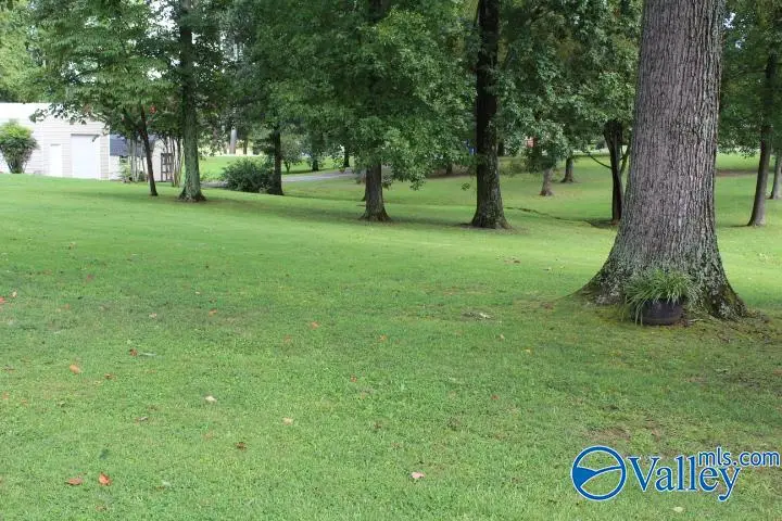 329 7th Avenue Ne, Arab, AL 35016 - Image #3