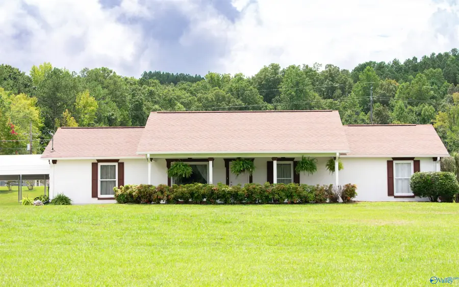 10527 Us Hwy 278, Piedmont, AL 36272 - Image #2