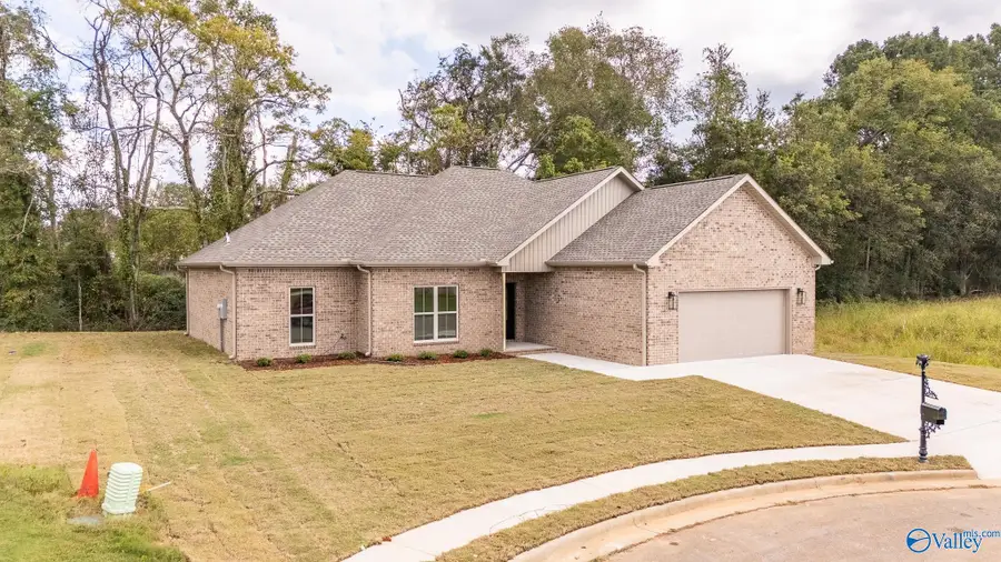 509 Zoey Grace Drive, Rogersville, AL 35652 - Image #2