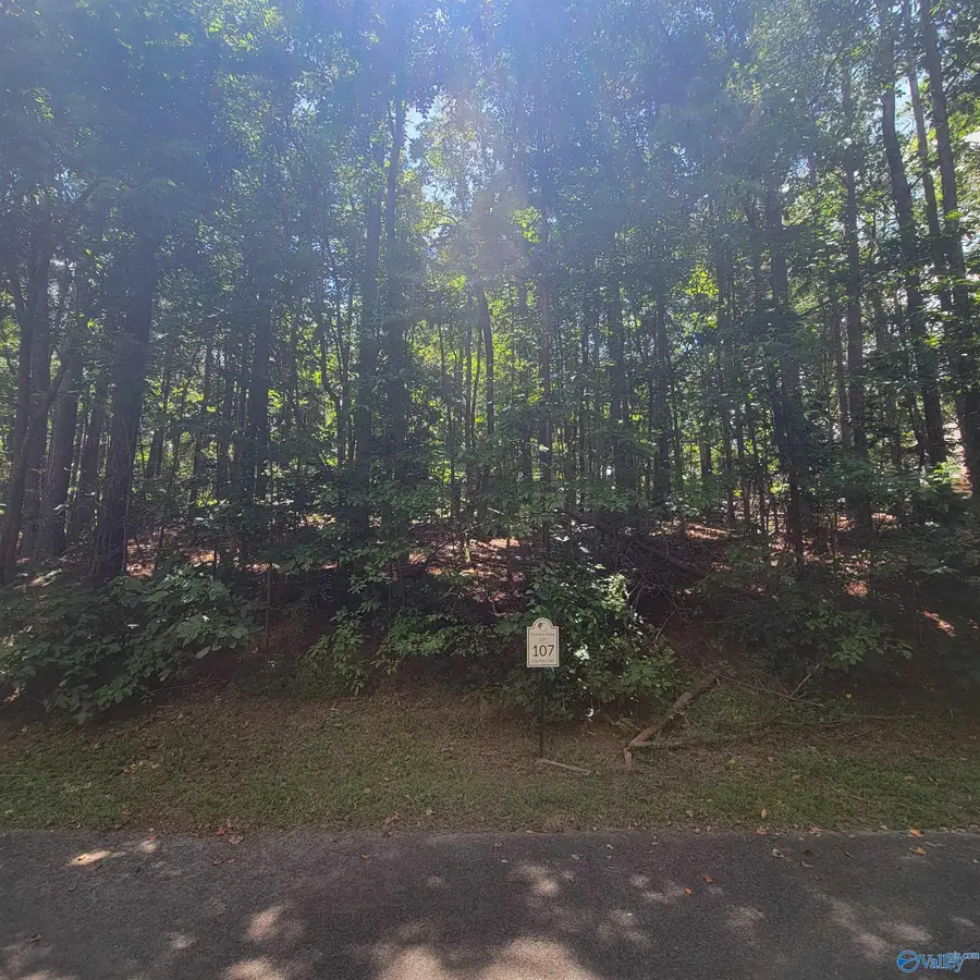 LOT 106 & 107 Creekwood Drive, Union Grove, AL 35175 - Image #3