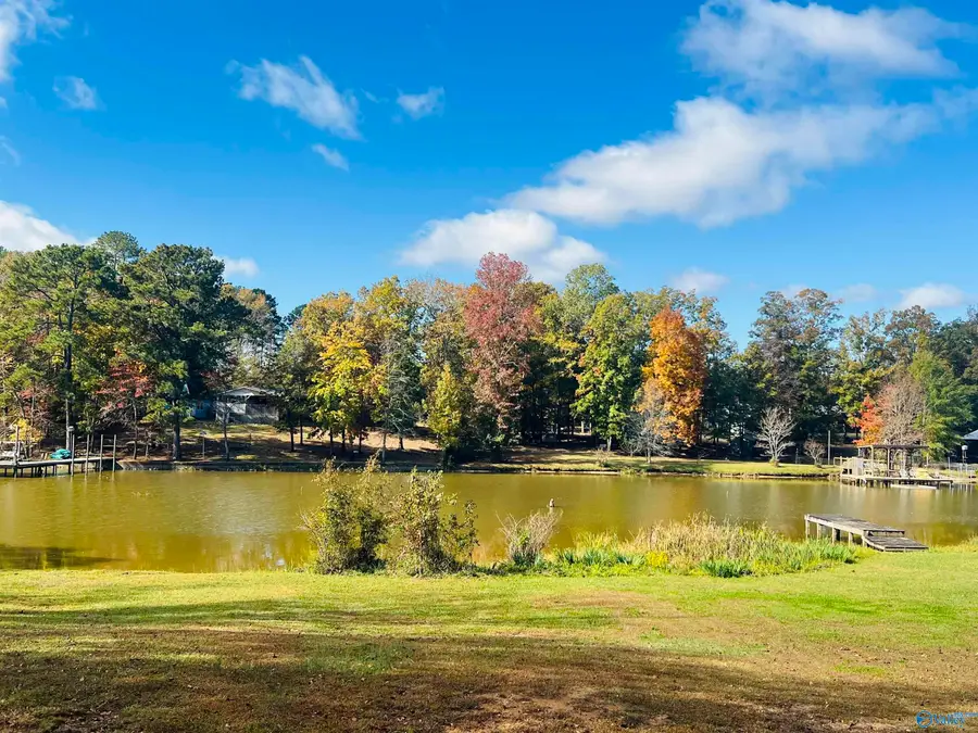 955 County Road 745, Cedar Bluff, AL 35959 - Image #2