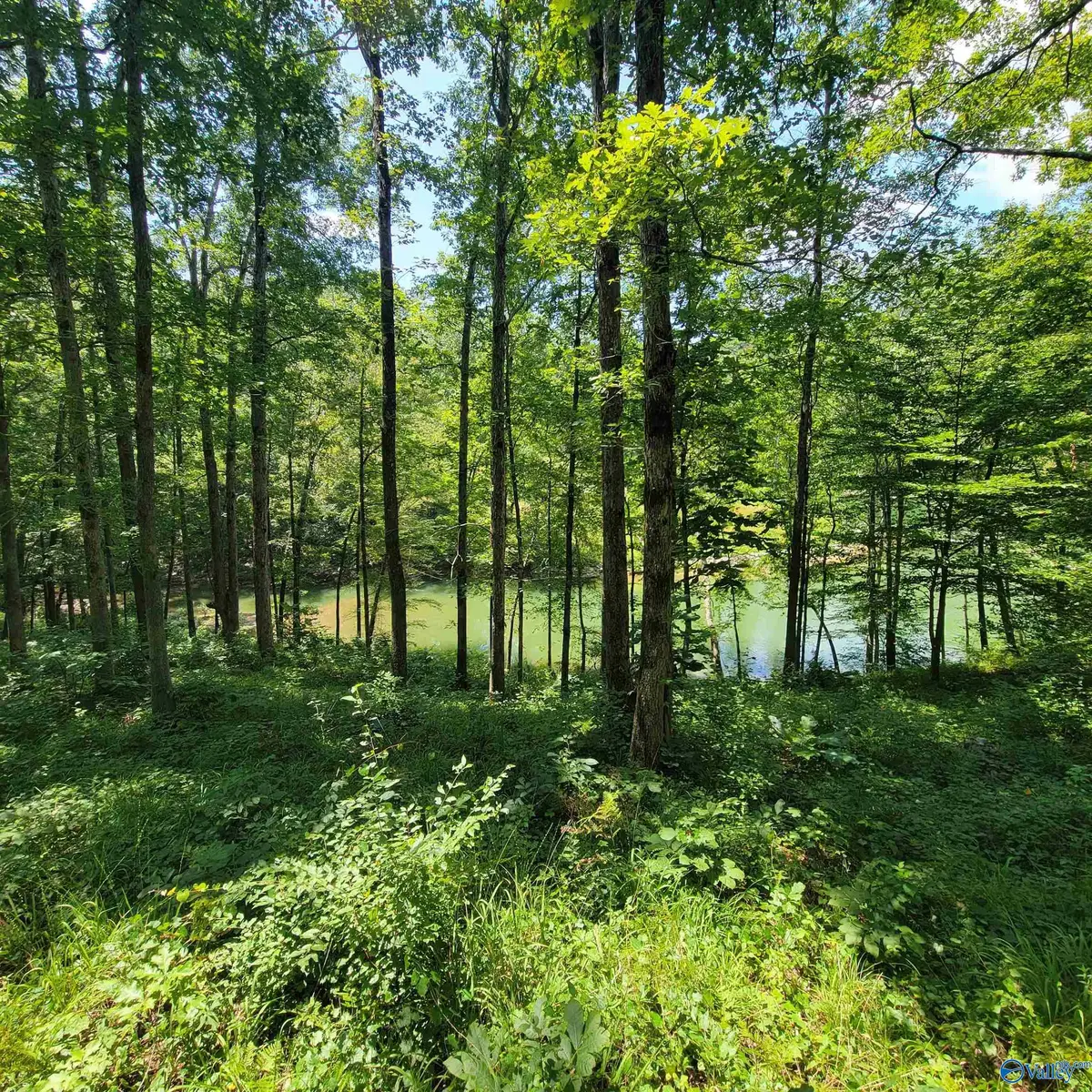 LOT 25 Legendary Parkway, Arley, AL 35541 - Image #1