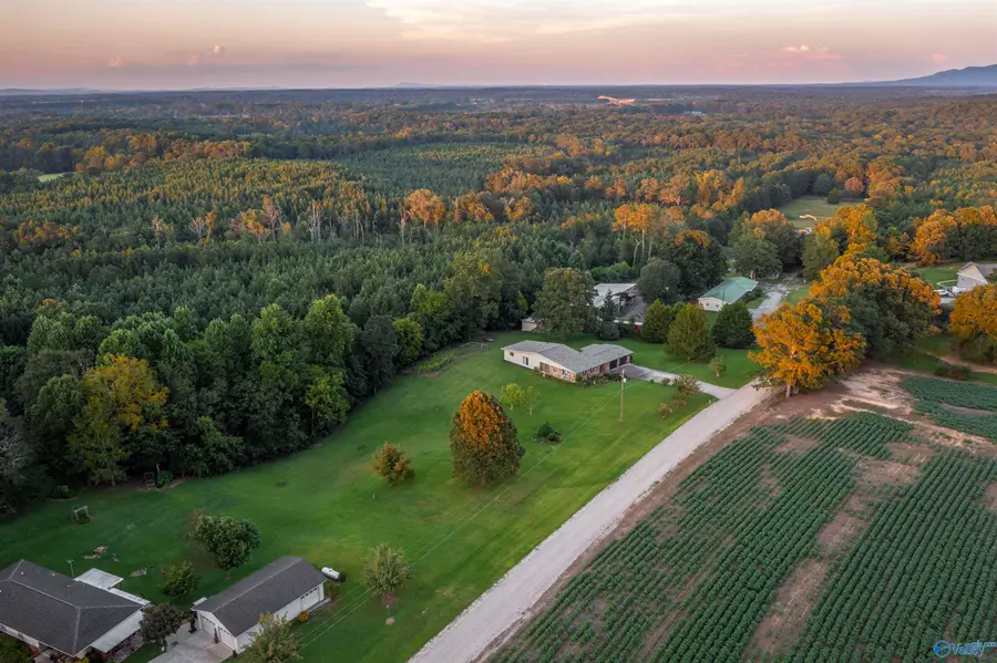 495 Bluebird Lane, Hokes Bluff, AL 35903 - Image #3