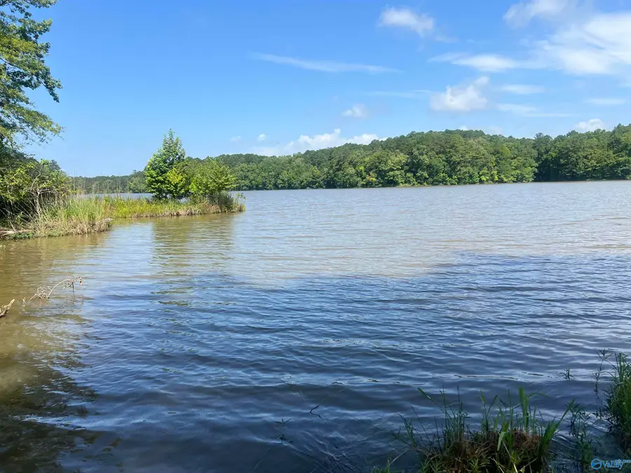 1310 County Road 182, Cedar Bluff, AL 35959 - Image #2