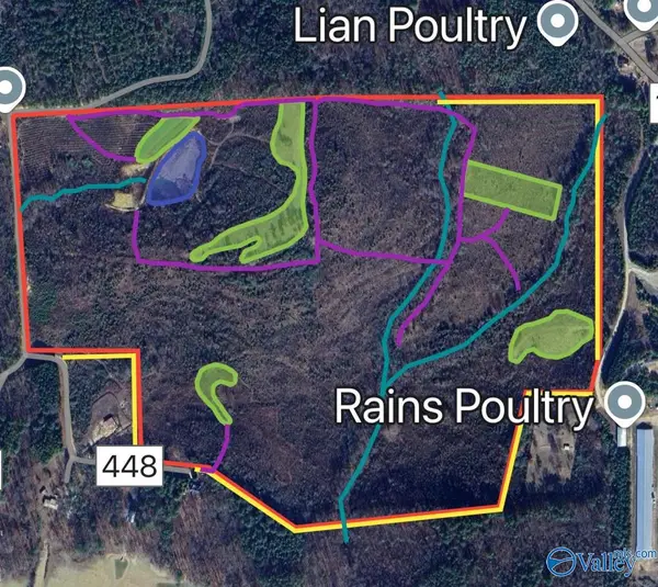 97 Acres +/- County Road 619, Centre, AL 35960
