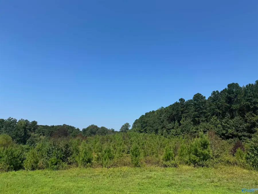 97 Acres +/- County Road 619, Centre, AL 35960 - Image #3