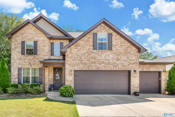 381 Willow Bank Circle, Decatur, AL 35603