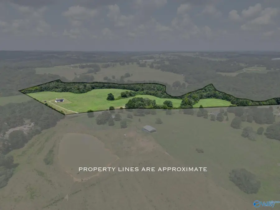 823 Mcclarty Road, Horton, AL 35980 - Image #2