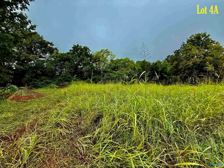 Lot 4A Taylor Road, Elkmont, AL 35620 - Image #3