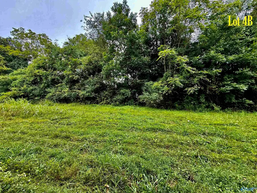 Lot 4B Taylor Road, Elkmont, AL 35620 - Image #3