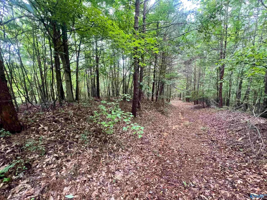 451 Percy Vines Road, Quinton, AL 35130 - Image #3