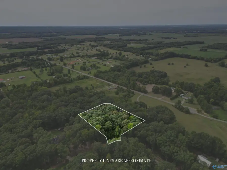 lot 14 County Road 379, Trinity, AL 35673 - Image #3