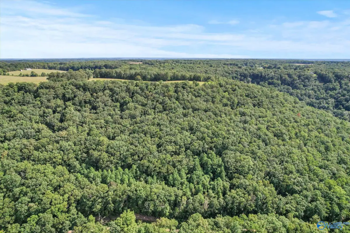 15 Shin Point Road, New Hope, AL 35760 - Image #1