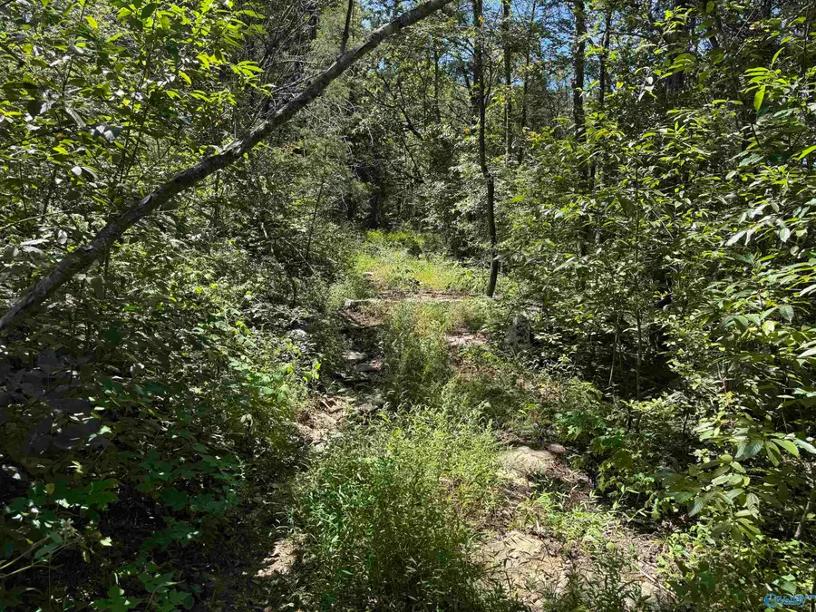 25501 Al Highway 35, Woodville, AL 35776 - Image #3