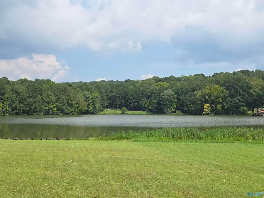 Lot 13 County Road 92, Cedar Bluff, AL 35959 - Image #3