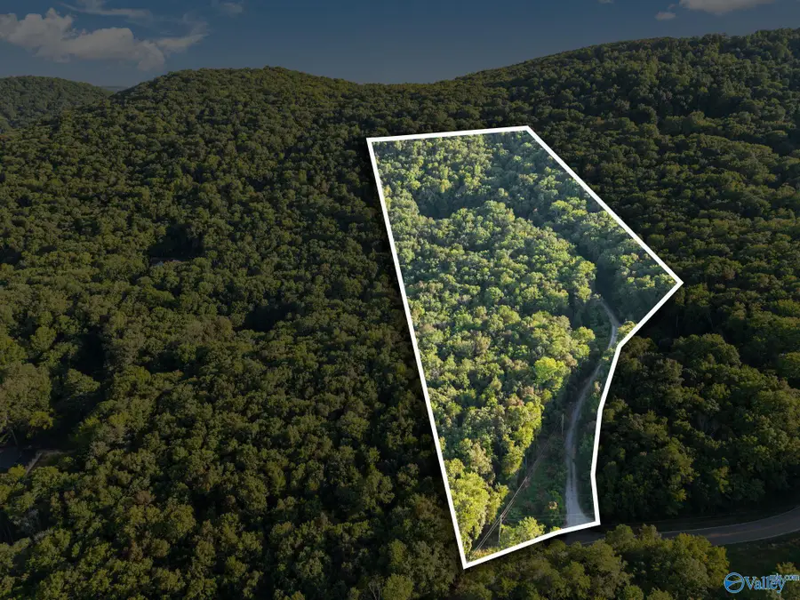 475 South Green Mountain Road, Owens Cross Roads, AL 35763 - Image #2