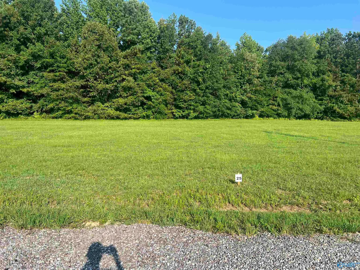 Lot 28 County Road 1057, Cedar Bluff, AL 35959 - Image #1