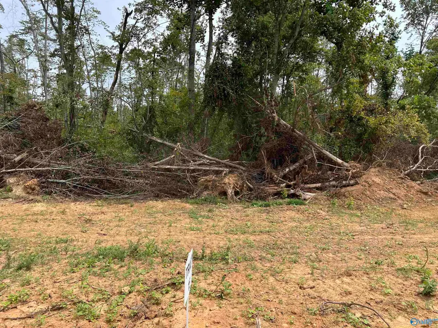 21394 Holland Road, Athens, AL 35614 - Image #2