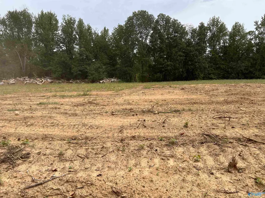 21256 Holland Road, Athens, AL 35614 - Image #2