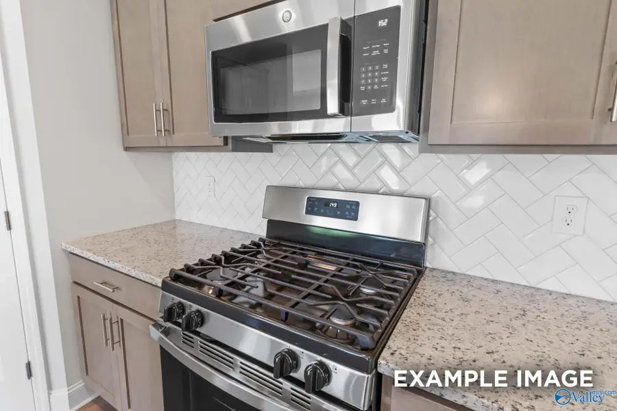 181 Gateway Trail, Arab, AL 35016 - Image #3