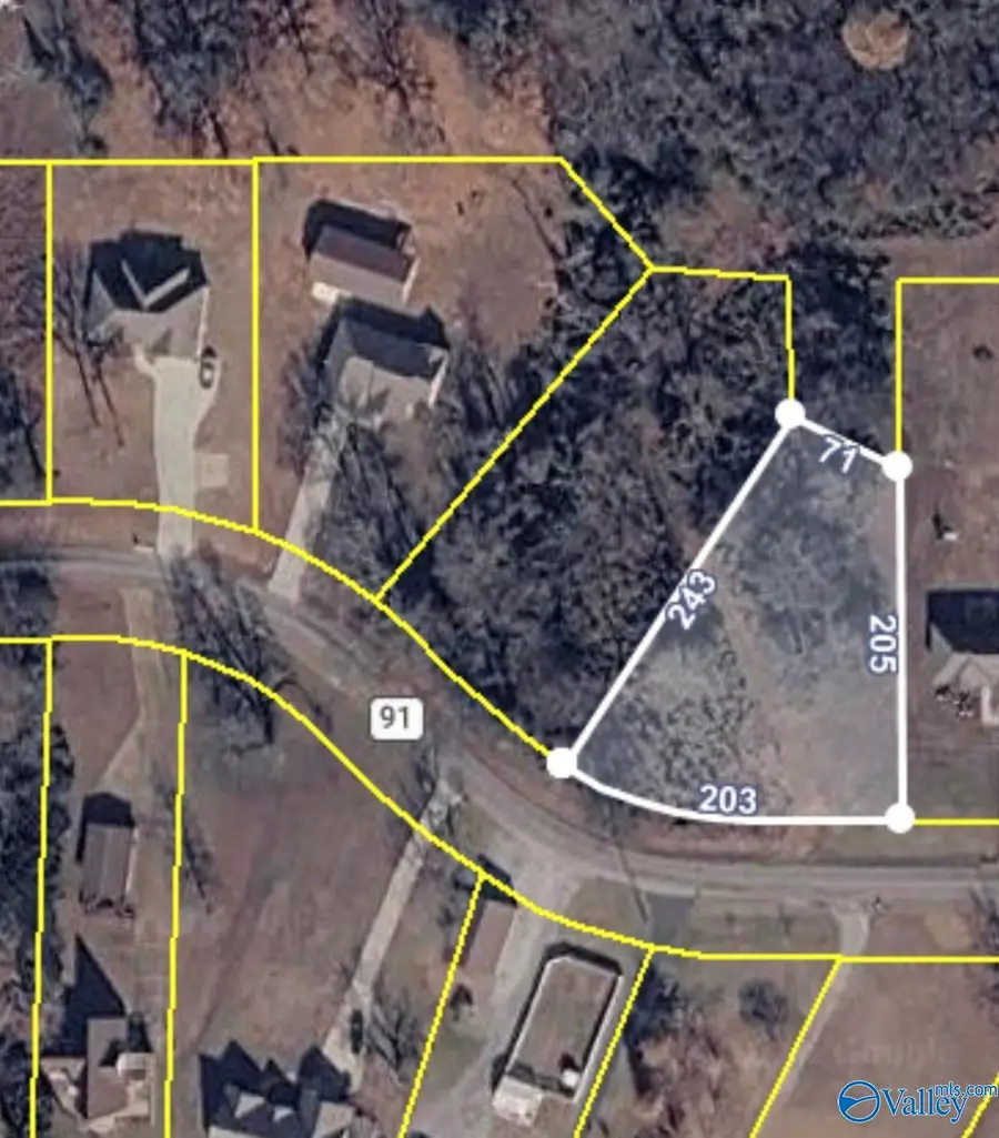 1984 County Road 91, Rogersville, AL 35652 - #3