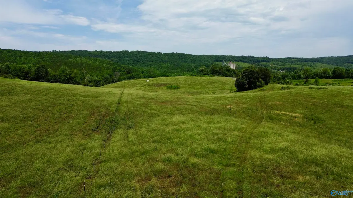 185 acres Carnes Chapel Road, Attalla, AL 35954 - Image #1