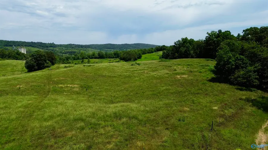 185 acres Carnes Chapel Road, Attalla, AL 35954 - Image #3